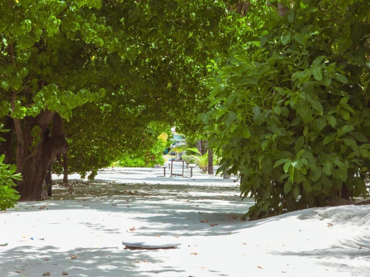 Biosphere Hulhumale, Luxury 1bhk With Ocean View